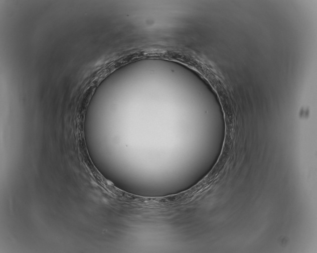 X0000090901445200707301001