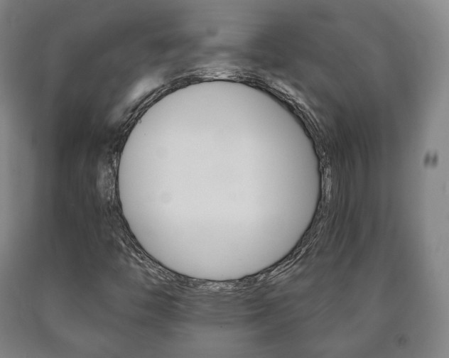 X0000090901446200707301001