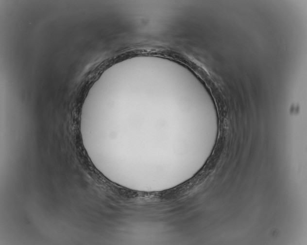X0000090901447200707301001