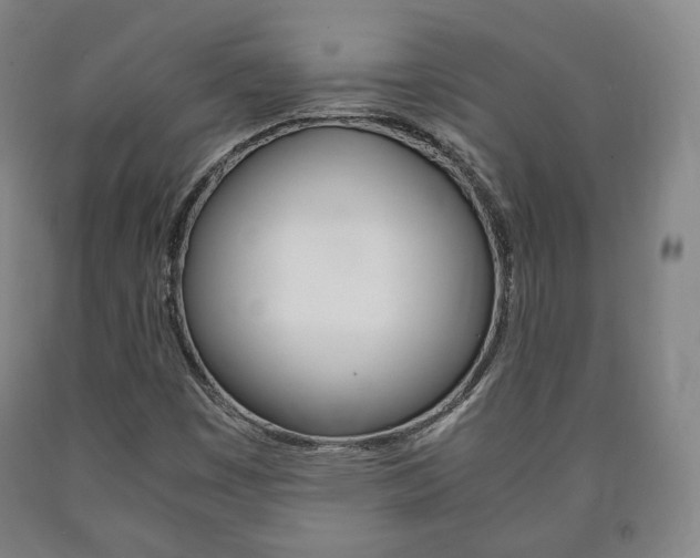 X0000090901449200707301001