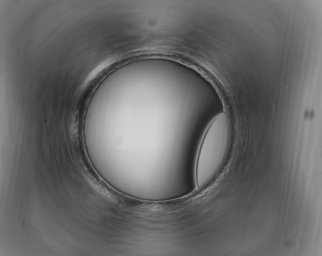 X0000090901450200707301001
