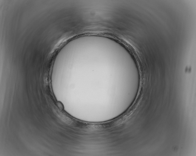 X0000090901451200707301001
