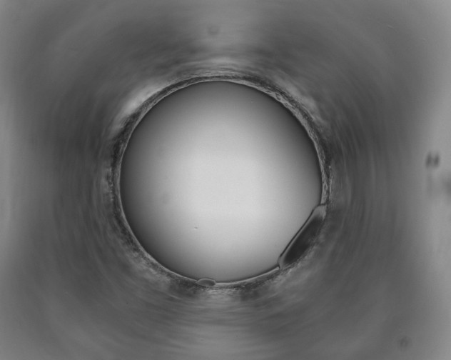 X0000090901453200707301001