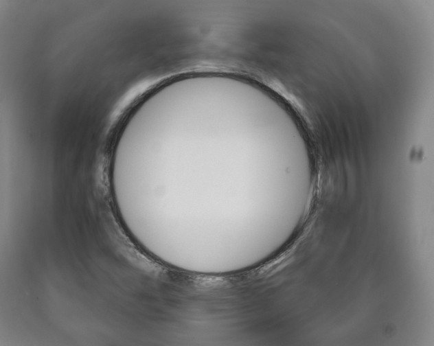 X0000090901454200707301001