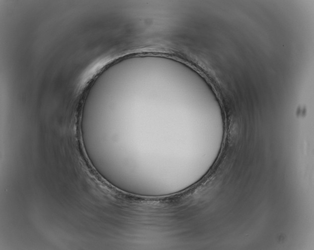 X0000090901455200707301001