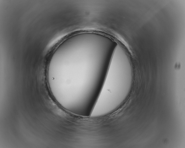 X0000090901456200707301001