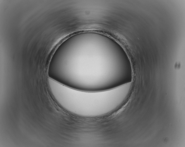 X0000090901457200707301001
