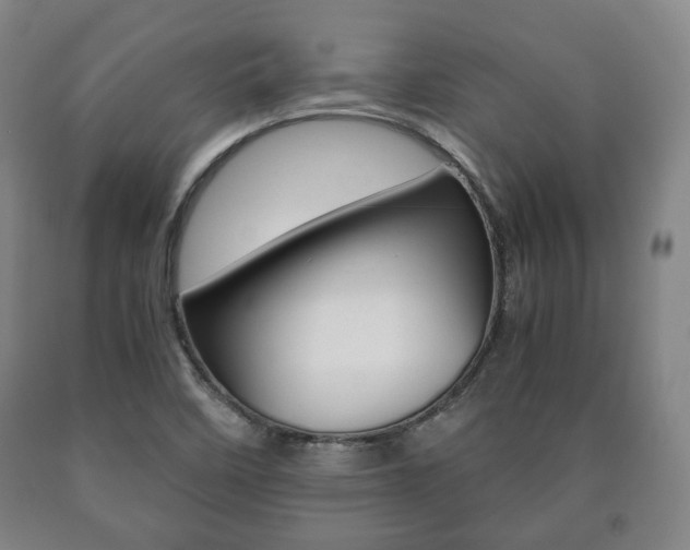 X0000090901458200707301001