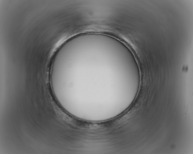 X0000090901459200707301001