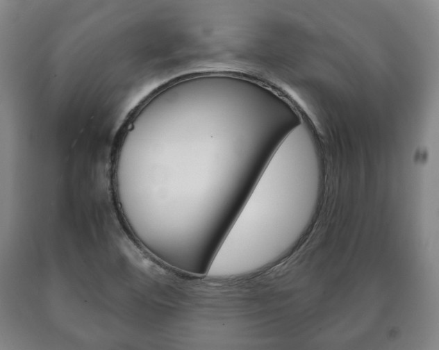X0000090901460200707301001