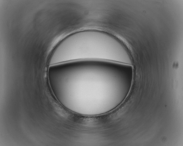 X0000090901461200707301001