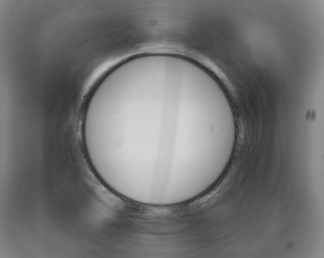 X0000090901462200707301001