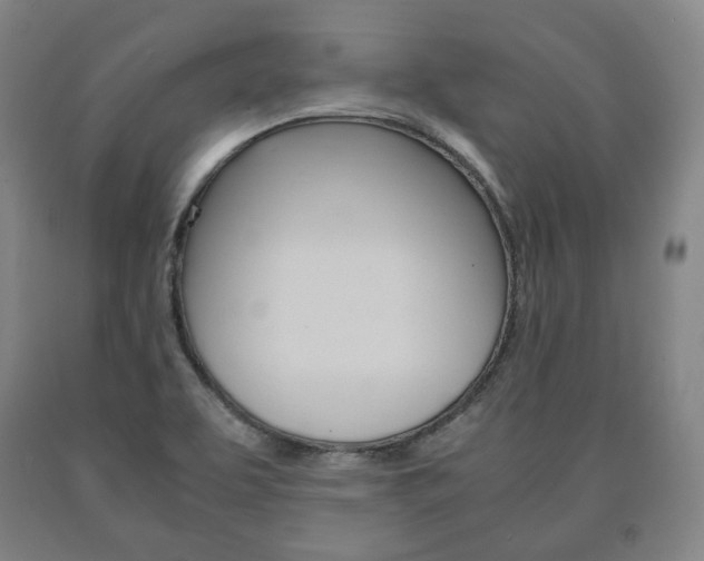 X0000090901463200707301001
