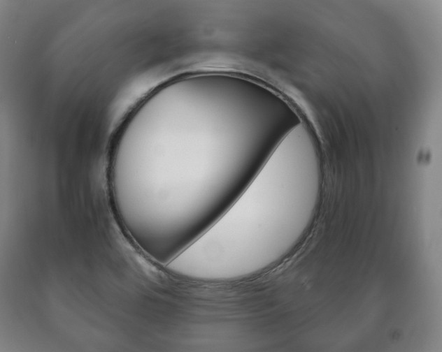 X0000090901464200707301001