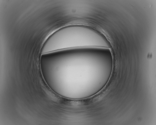 X0000090901465200707301001