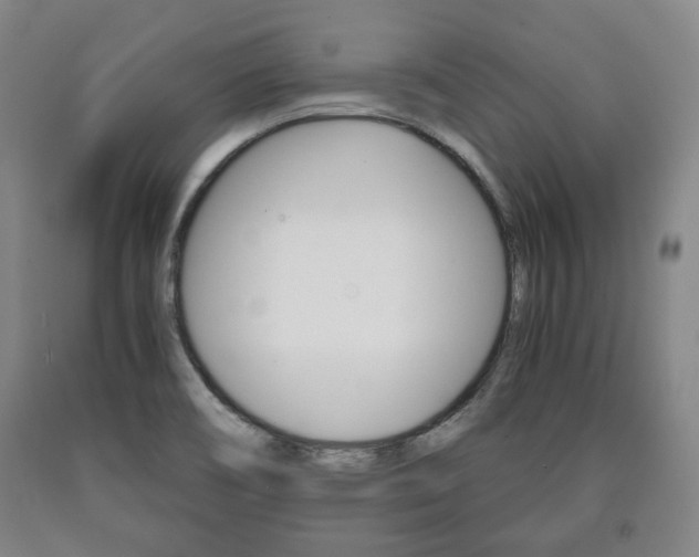 X0000090901466200707301001