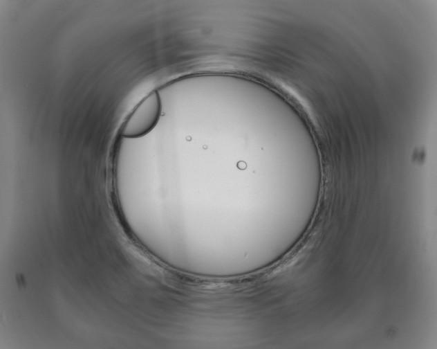 X0000090901467200707301001