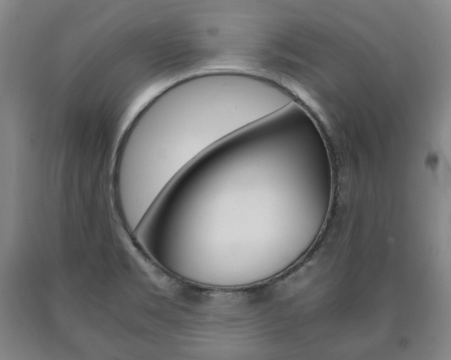X0000090901469200707301001