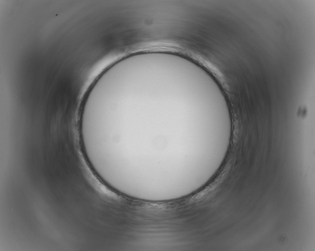 X0000090901470200707301001