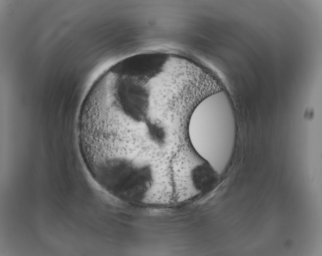 X0000090901471200707301001