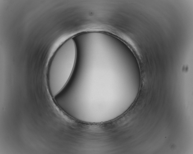 X0000090901472200707301001