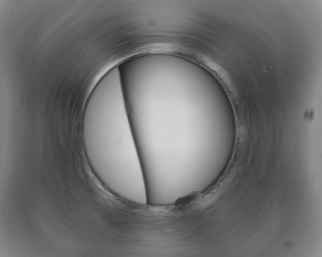 X0000090901473200707301001