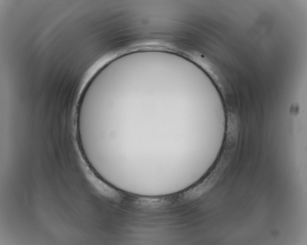 X0000090901474200707301001