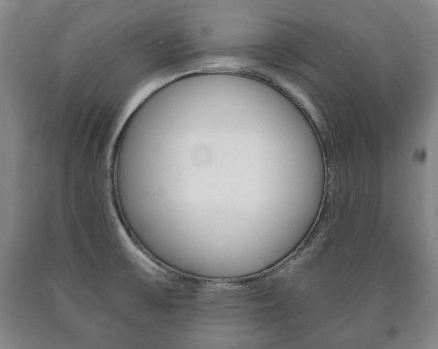 X0000090901475200707301001