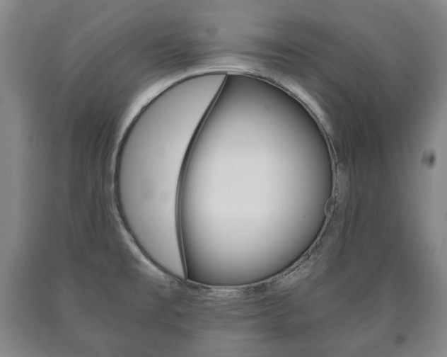 X0000090901477200707301001