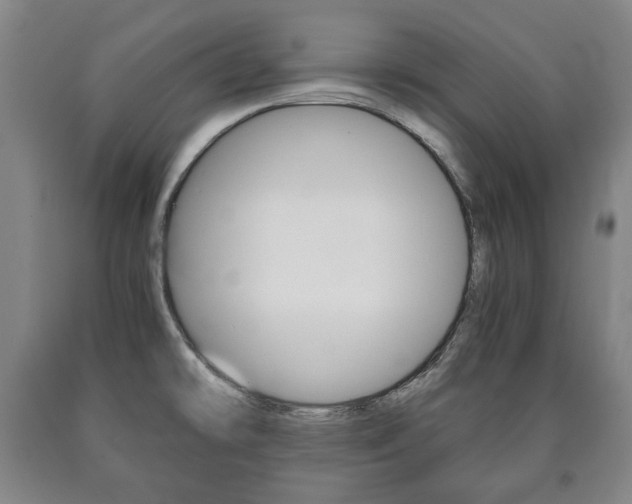 X0000090901478200707301001