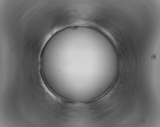 X0000090901479200707301001