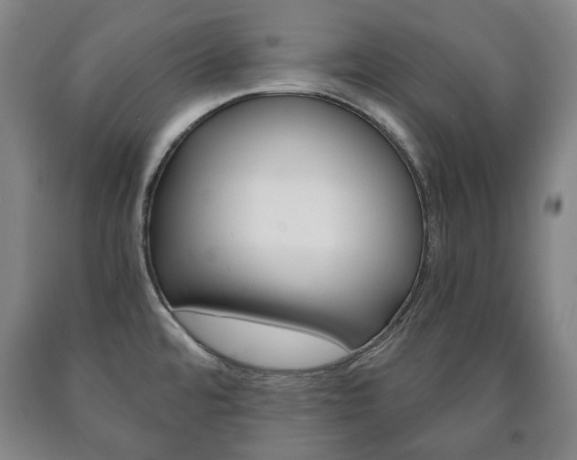 X0000090901480200707301001