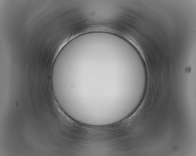 X0000090901481200707301001