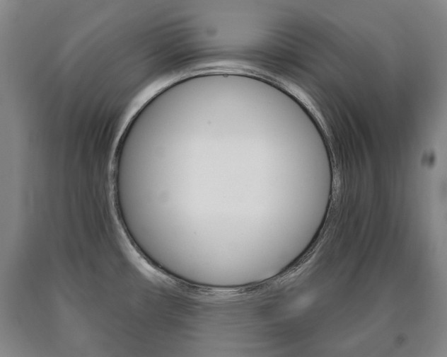 X0000090901482200707301001
