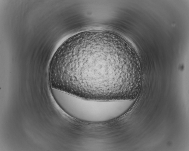 X0000090901483200707301001