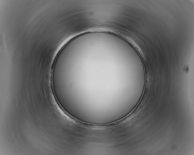 X0000090901484200707301001