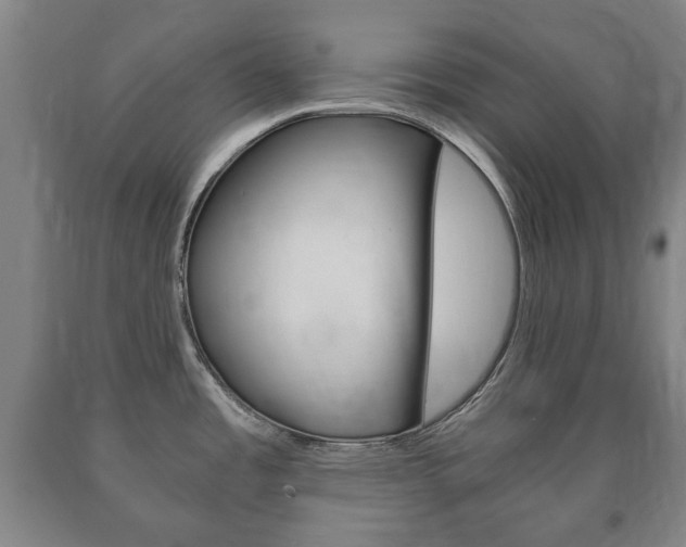 X0000090901485200707301001