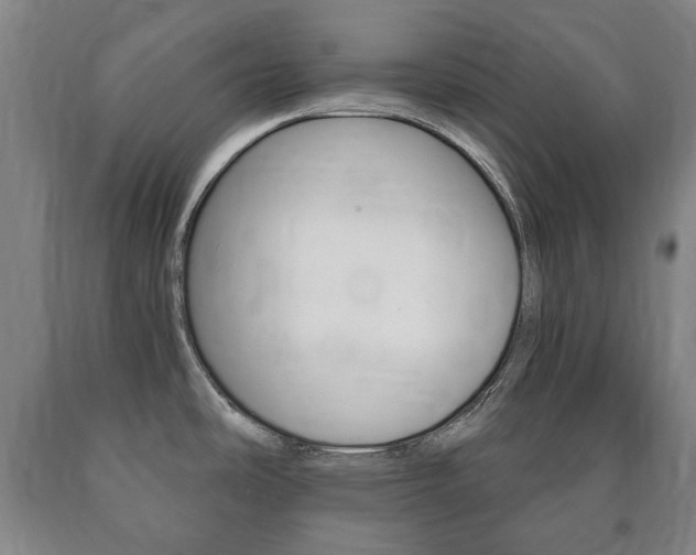 X0000090901486200707301001