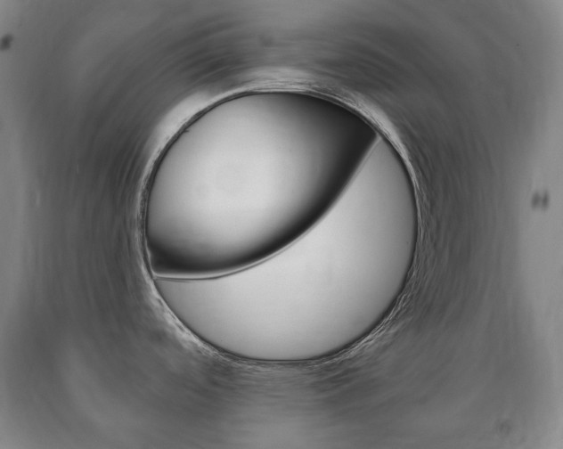 X0000090901488200707301001