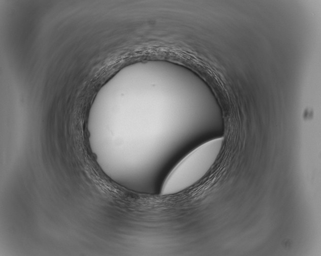 X0000090901489200707301000