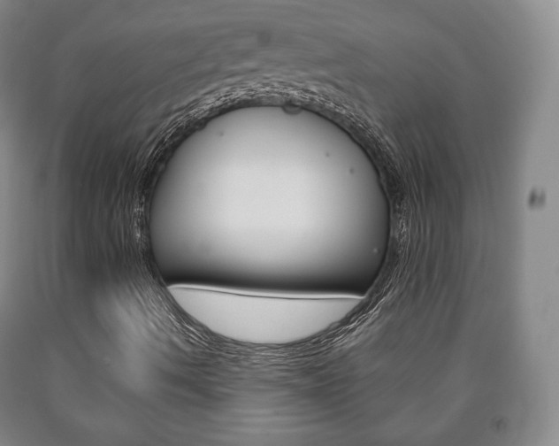 X0000090901490200707301000