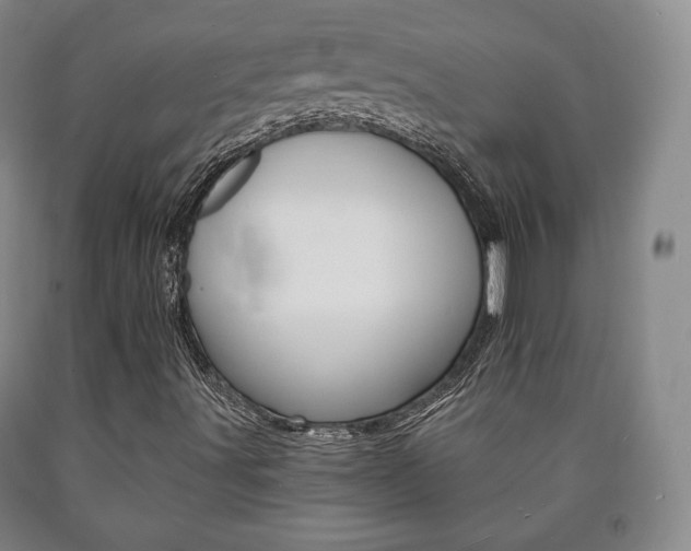 X0000090901491200707301000