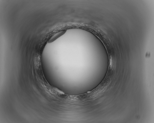 X0000090901492200707301000