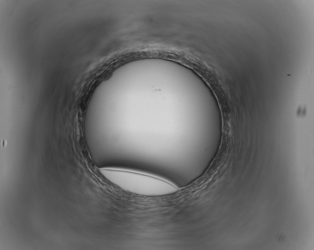 X0000090901493200707301000