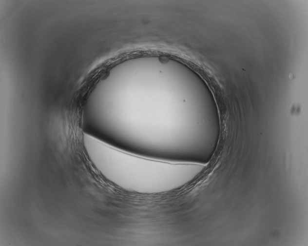 X0000090901494200707301000