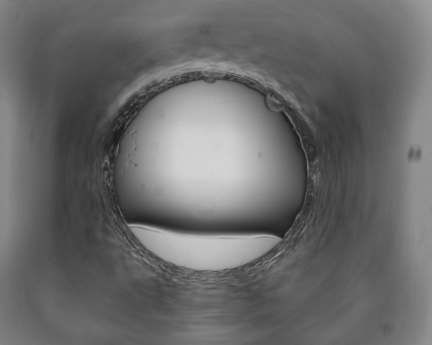 X0000090901495200707301000
