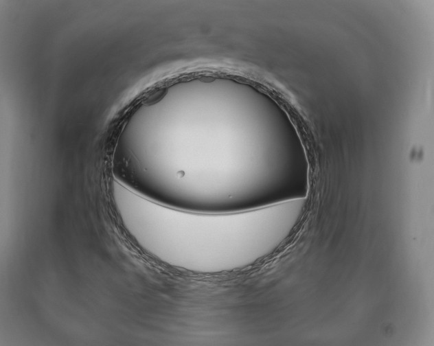 X0000090901496200707301000