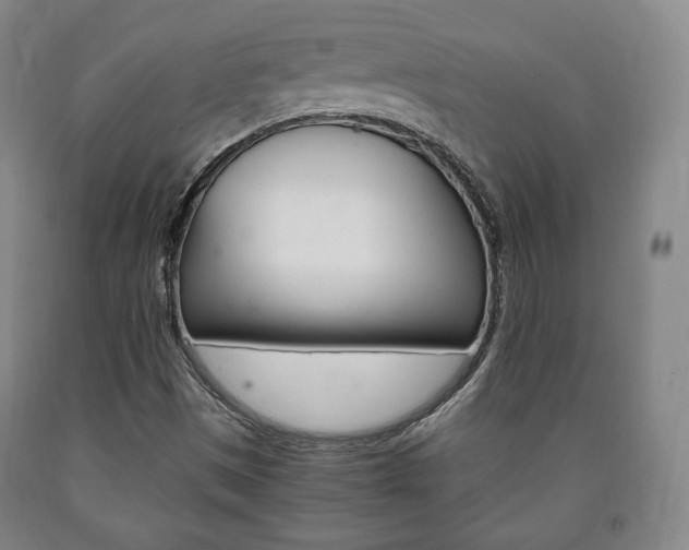 X0000090901497200707301000