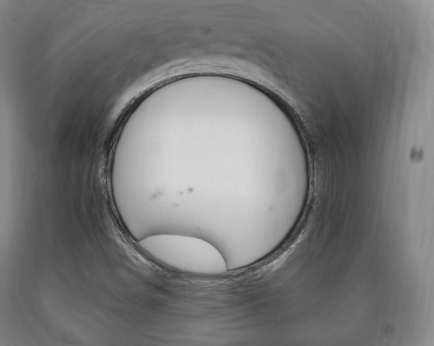 X0000090901498200707301000
