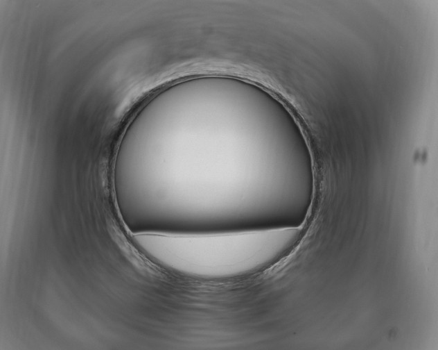 X0000090901499200707301000